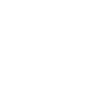 Logo Coseinpro - Co